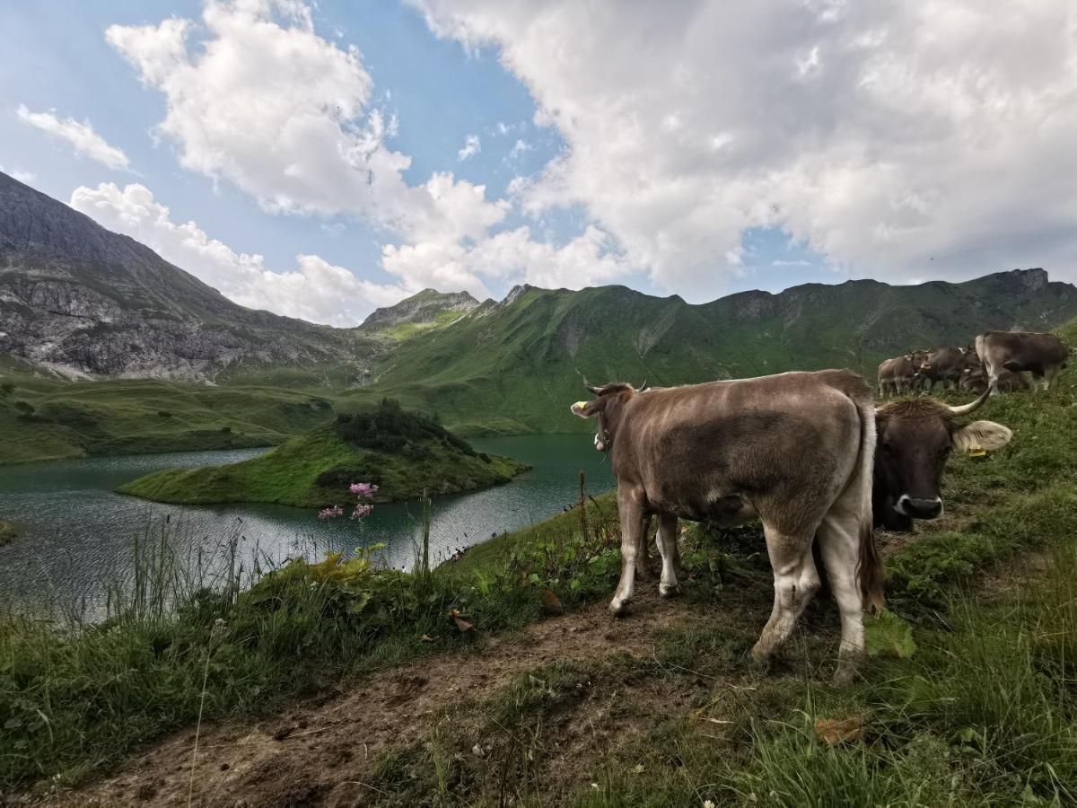 Ferienwohnung Wiesenblick Bad Hindelang Bagian luar foto