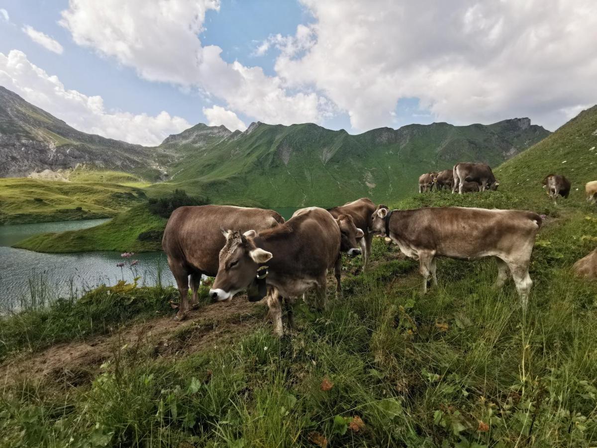 Ferienwohnung Wiesenblick Bad Hindelang Bagian luar foto
