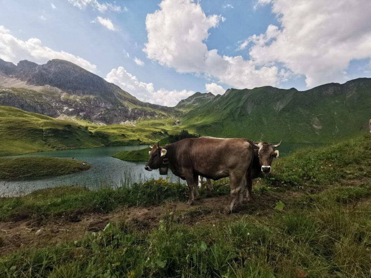 Ferienwohnung Wiesenblick Bad Hindelang Bagian luar foto