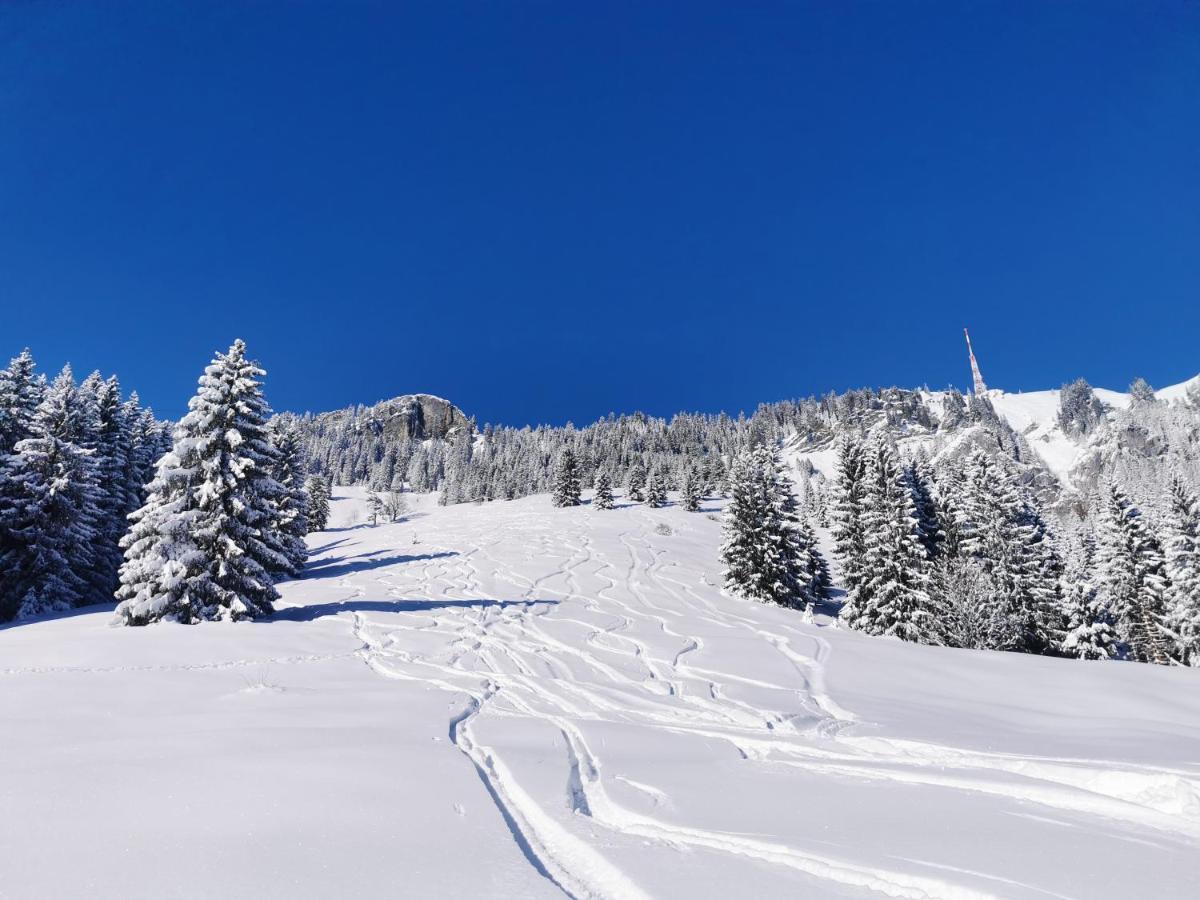 Ferienwohnung Wiesenblick Bad Hindelang Bagian luar foto